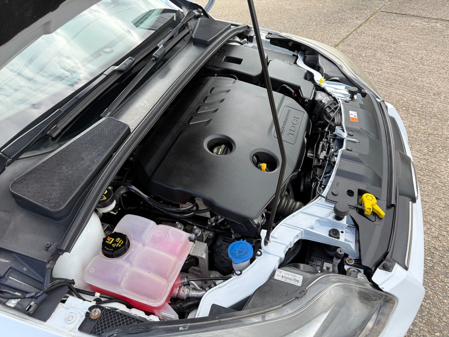 Used Ford Focus 2014 for sale - 78054313: Photo 51