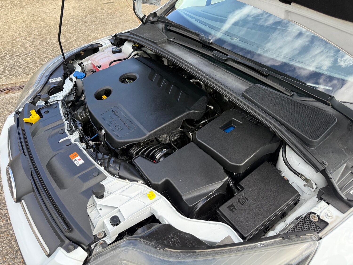 Used Ford Focus 2014 for sale - 78054313: Photo 52