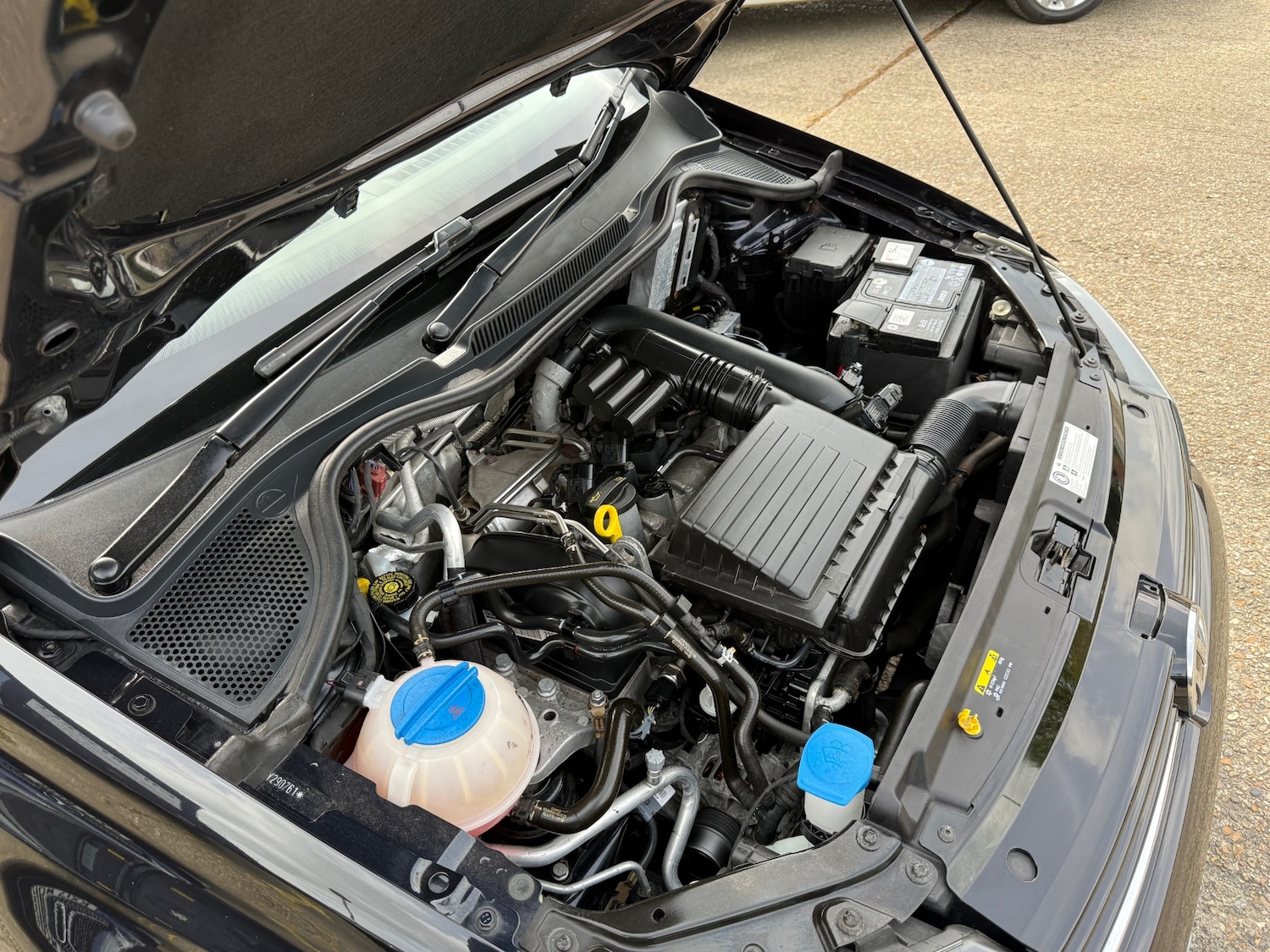 Used Volkswagen Polo 2017 for sale - 78210043: Photo 51