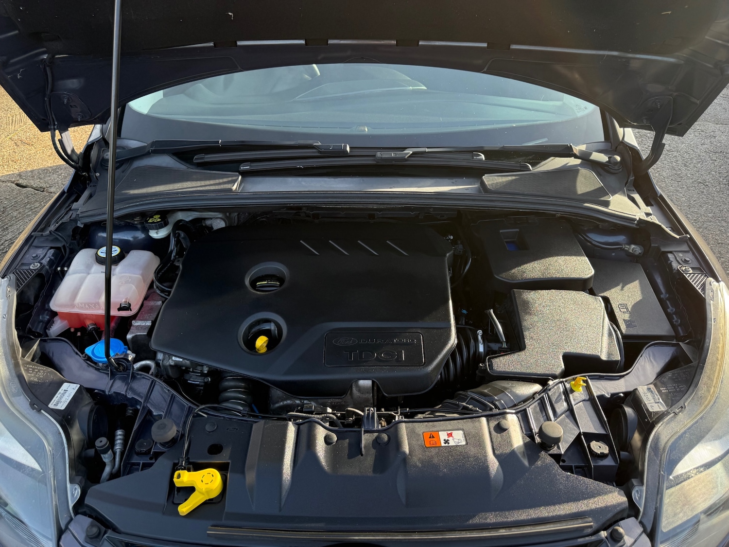 Used Ford Focus 2012 for sale - 77353817: Photo 54