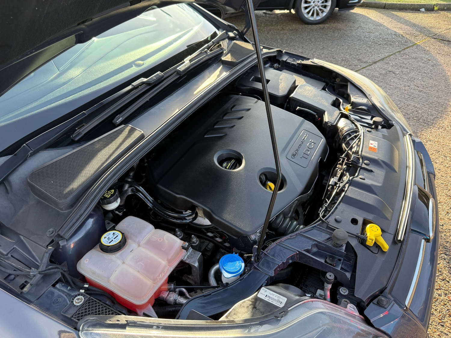 Used Ford Focus 2012 for sale - 77353817: Photo 55