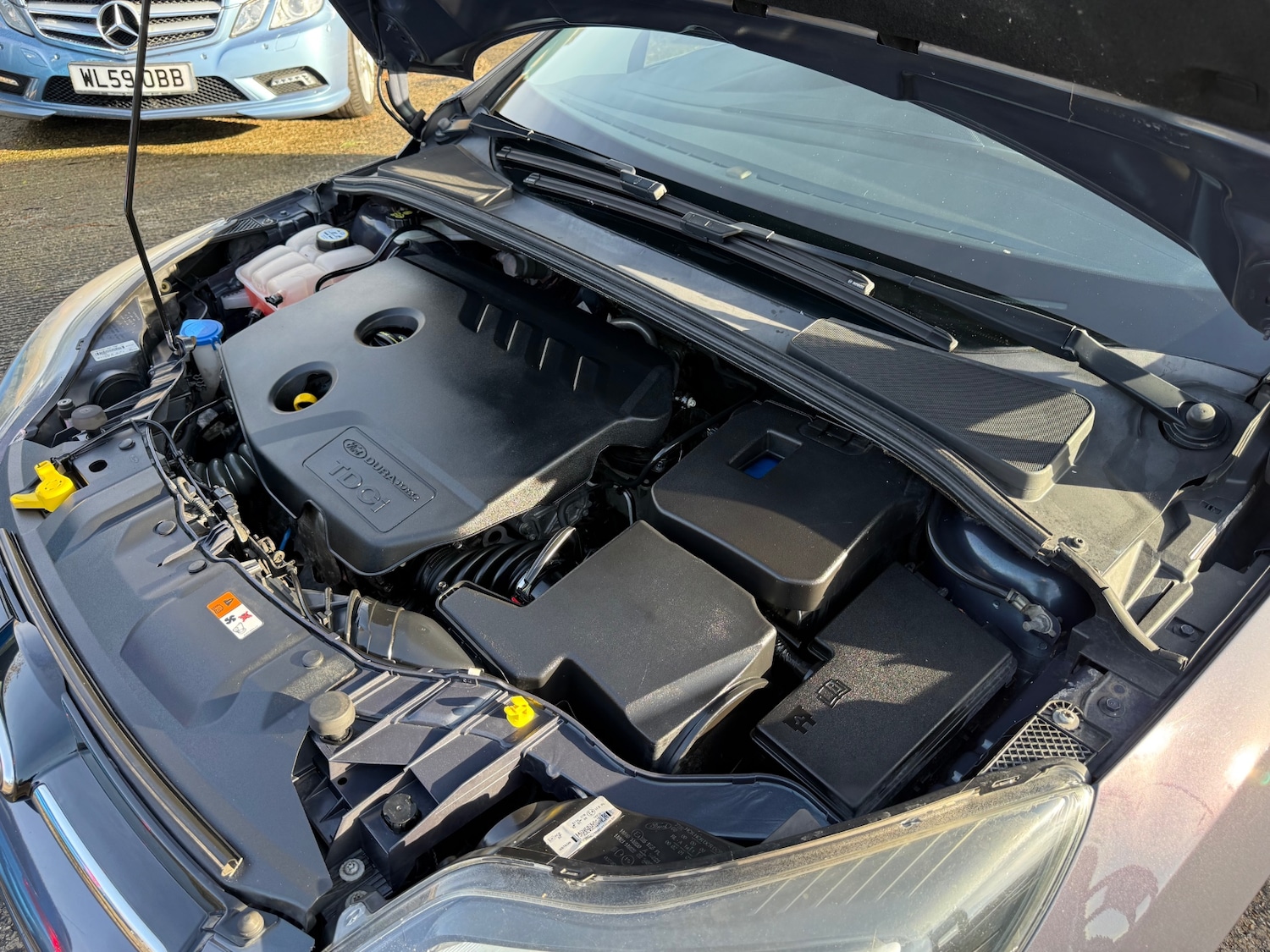 Used Ford Focus 2012 for sale - 77353817: Photo 56