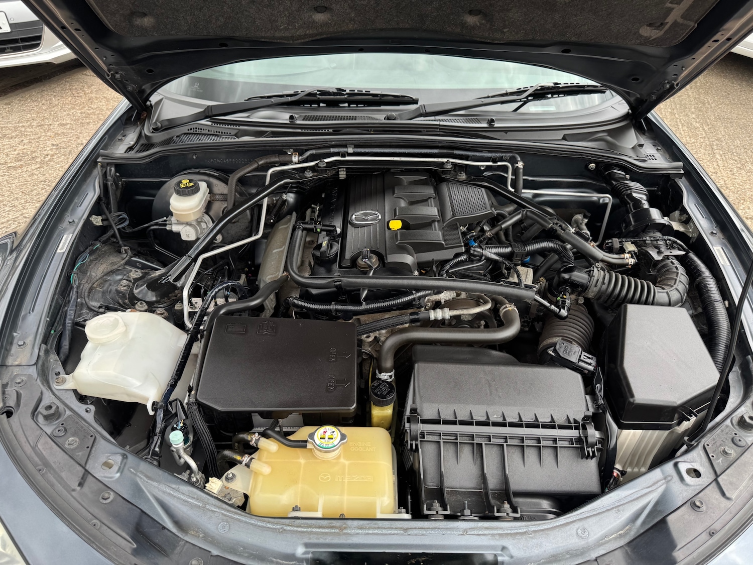 Vehicle 19