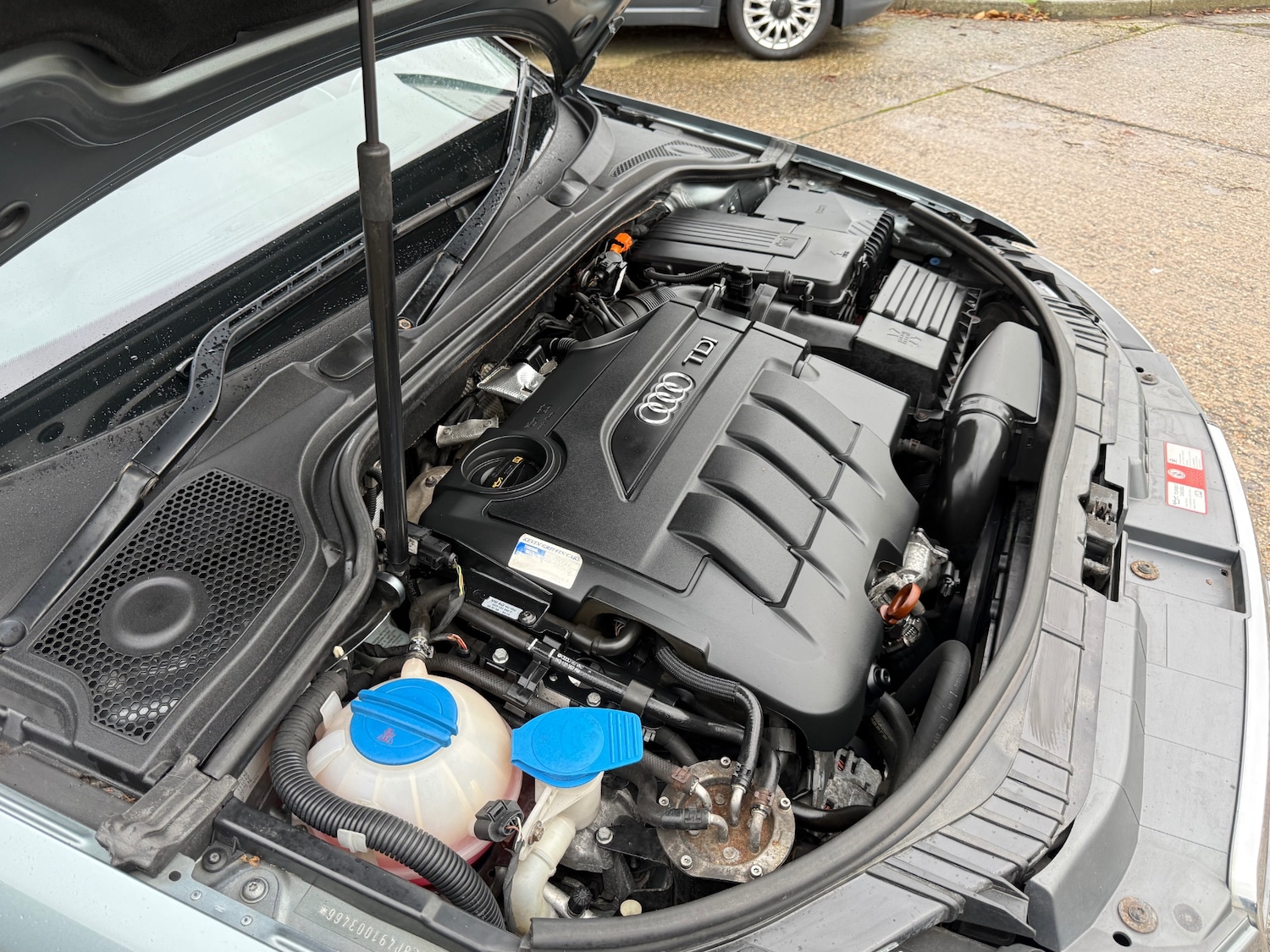 Used Audi A3 2008 for sale - 76748672: Photo 51