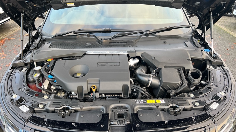 Used Land Rover Range Rover Evoque 2025 for sale - 76881836: Photo 30