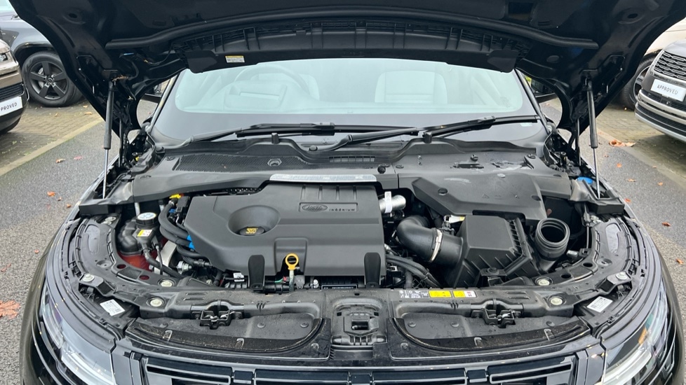 Used Land Rover Range Rover Evoque 2025 for sale - 76533910: Photo 30