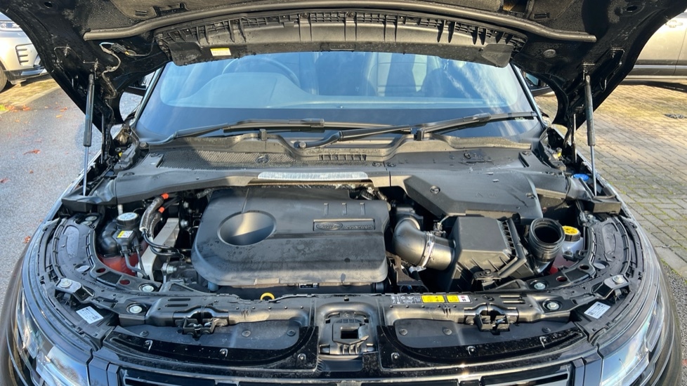 Used Land Rover Range Rover Evoque 2025 for sale - 76780094: Photo 30