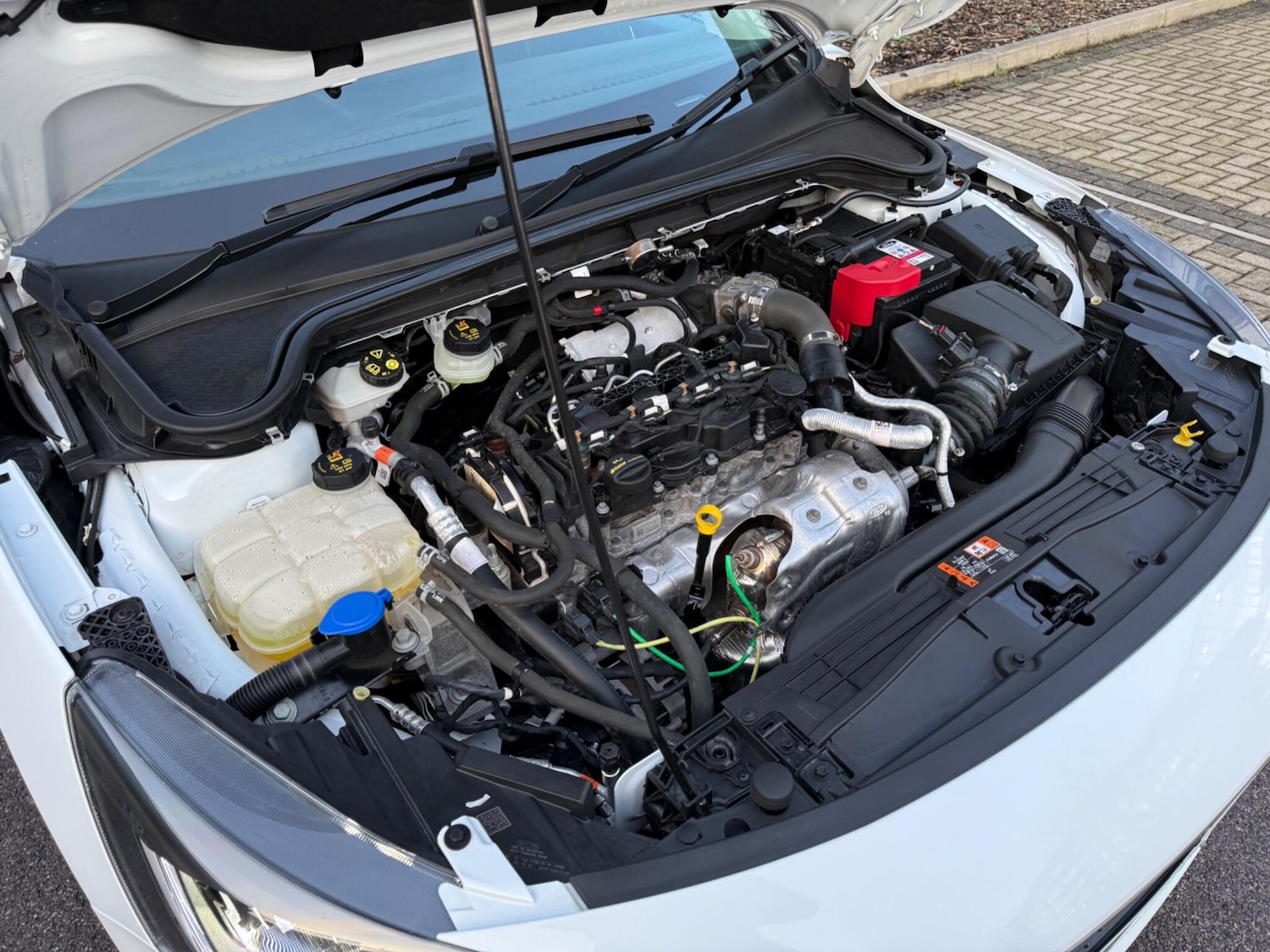 Used Ford Focus for sale - 77345455: Photo 82