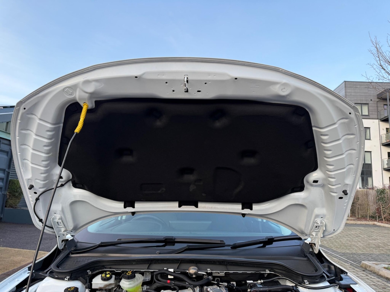 Used Ford Focus for sale - 77345455: Photo 86