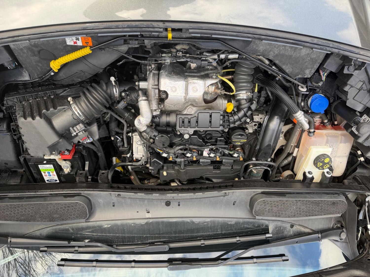 Used Ford Grand Tourneo Connect for sale - 77695502: Photo 21