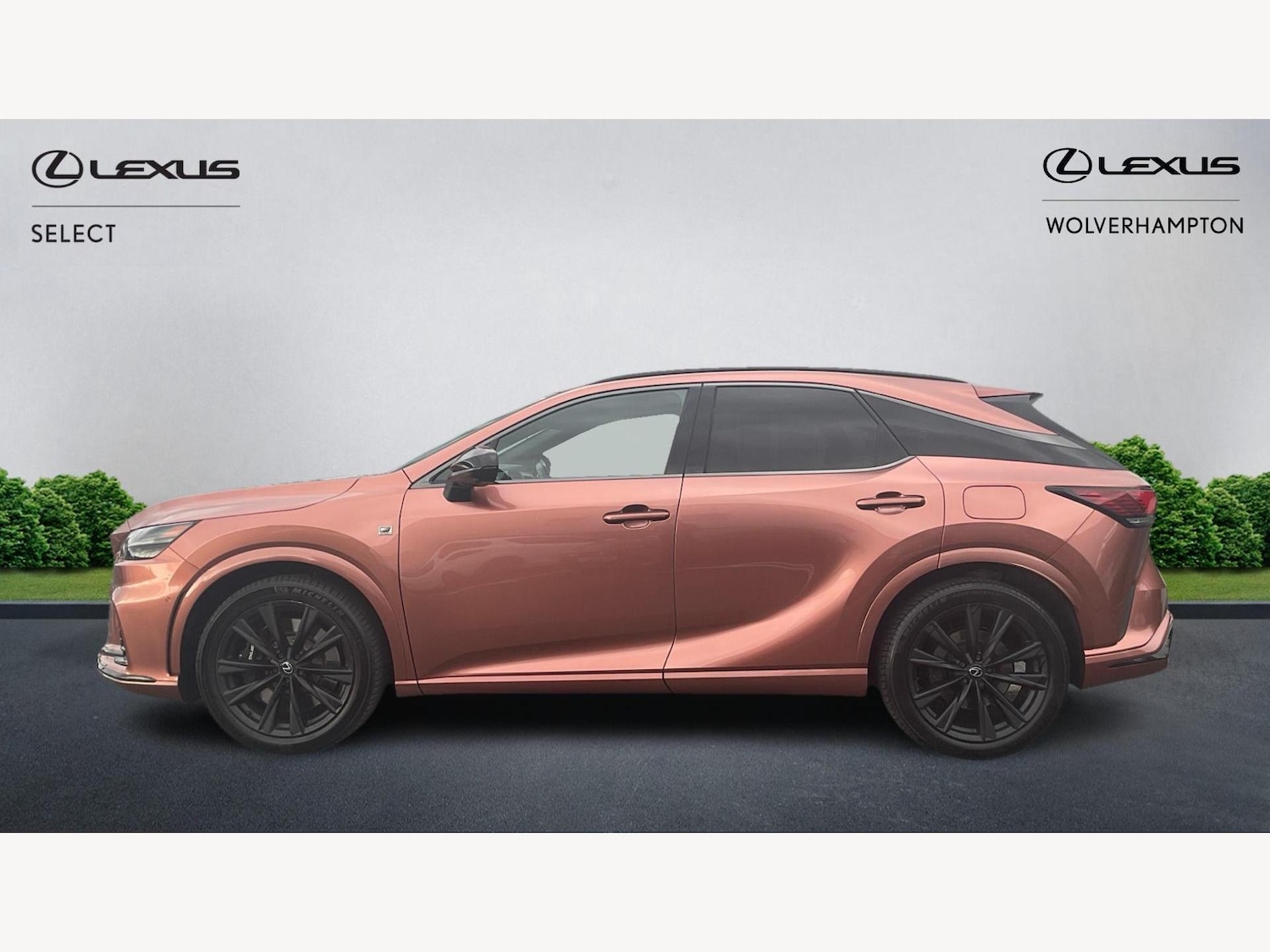 Used Lexus RX 2024 for sale - 76179408: Photo 3