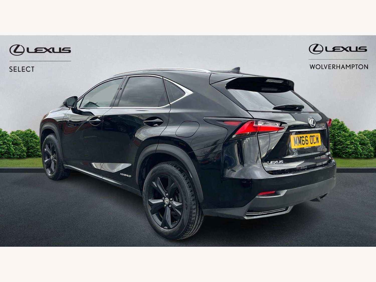 Used Lexus NX 2017 for sale - 77854202: Photo 2