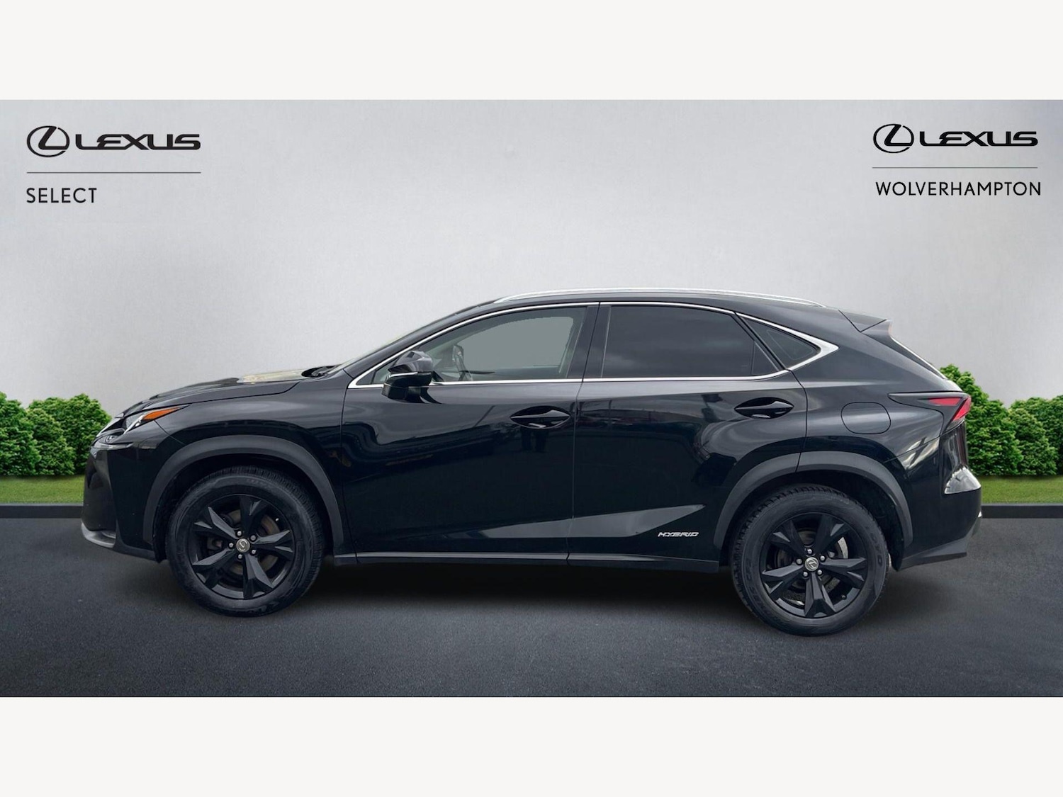Used Lexus NX 2017 for sale - 77854202: Photo 3