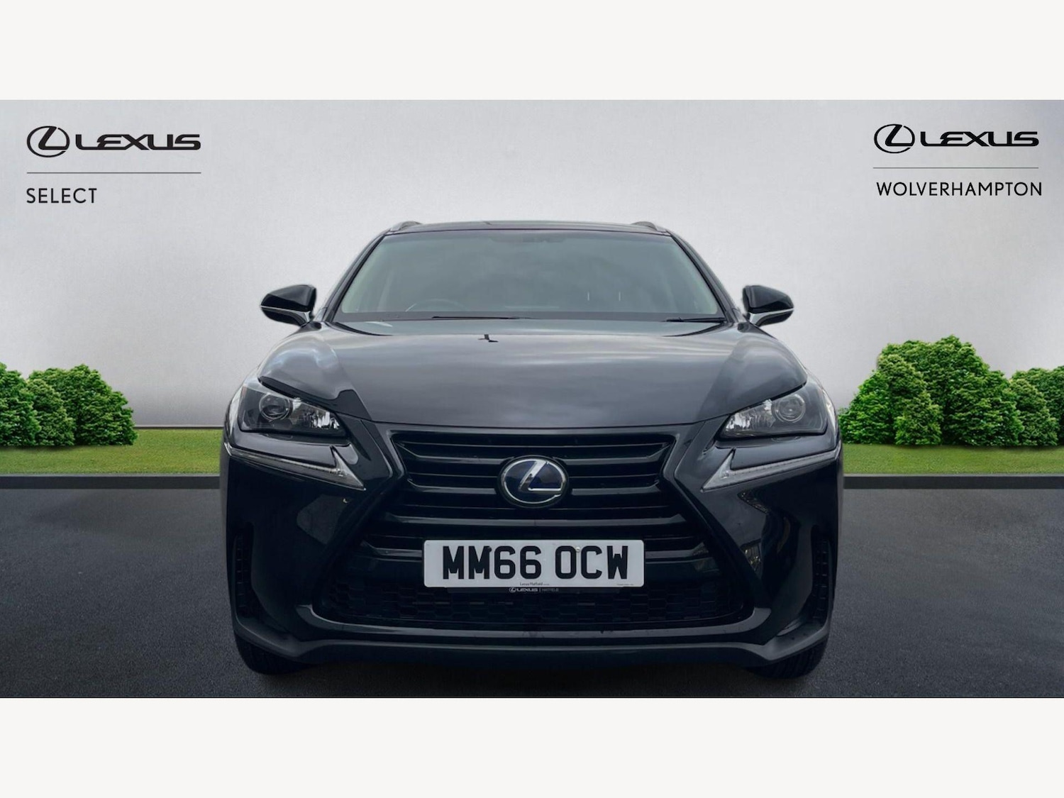 Used Lexus NX 2017 for sale - 77854202: Photo 6