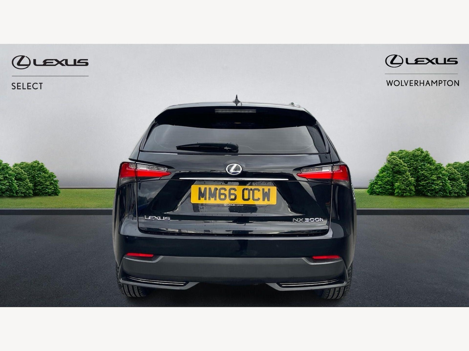 Used Lexus NX 2017 for sale - 77854202: Photo 7