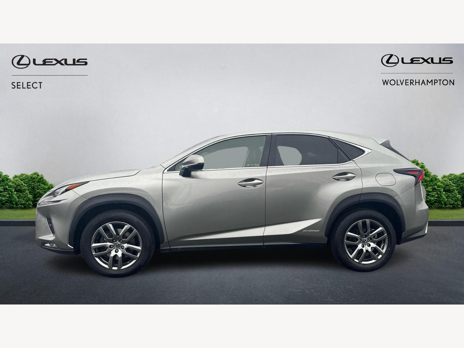 Used Lexus NX 2019 for sale - 77441314: Photo 3