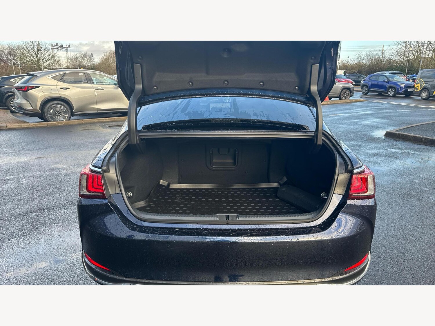 Used Lexus ES for sale - 77564883: Photo 17