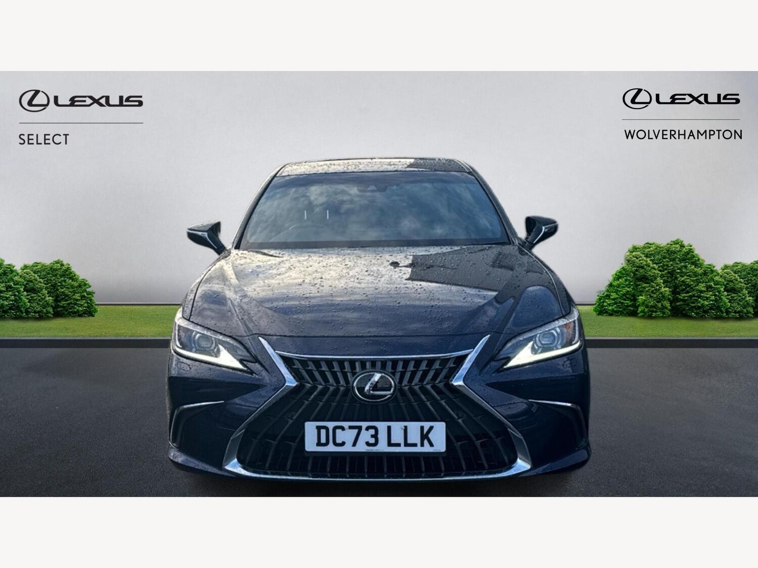 Used Lexus ES for sale - 77564883: Photo 6