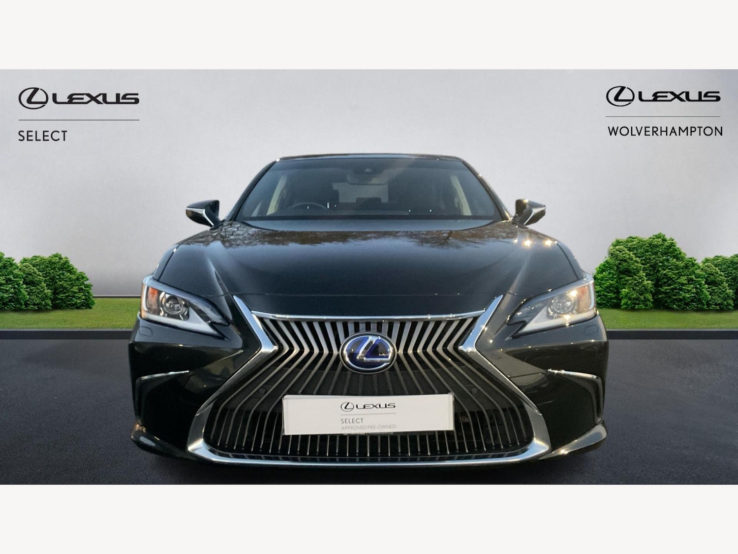 Used Lexus ES 2021 for sale - 77102038: Photo 6