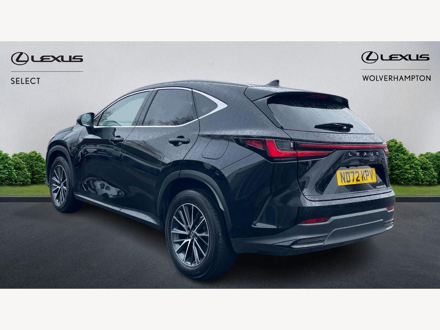 Used Lexus NX 2022 for sale - 77647043: Photo 2