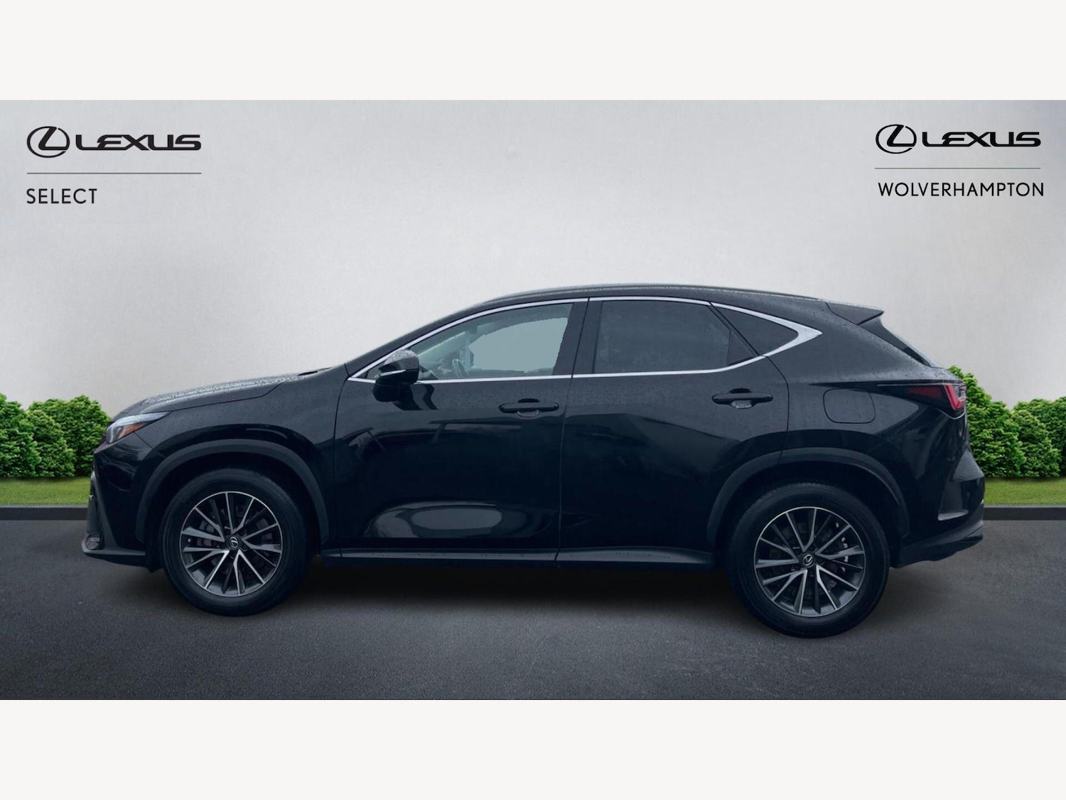 Used Lexus NX 2022 for sale - 77647043: Photo 3