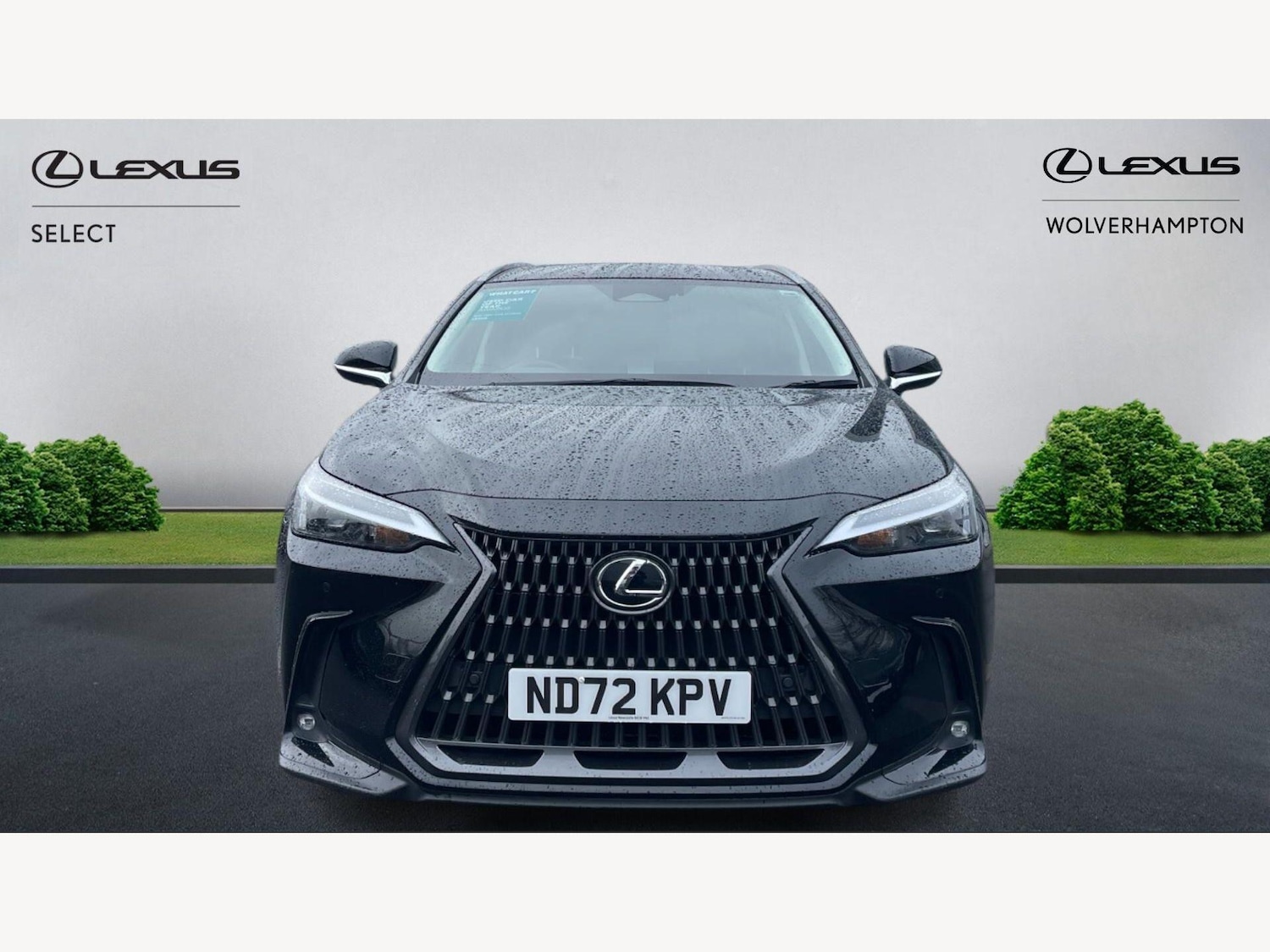Used Lexus NX 2022 for sale - 77647043: Photo 6