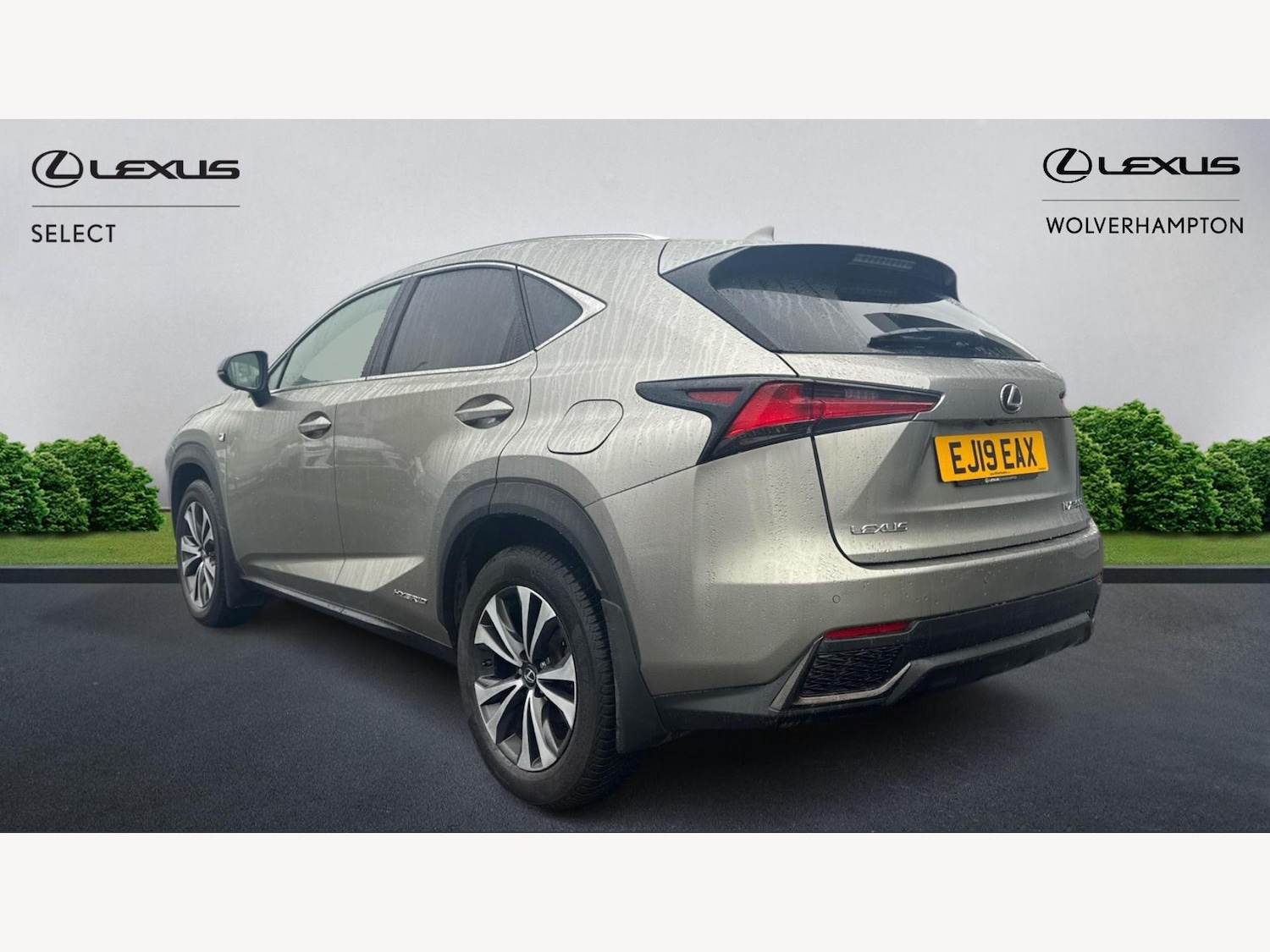 Used Lexus NX 2019 for sale - 77564984: Photo 2