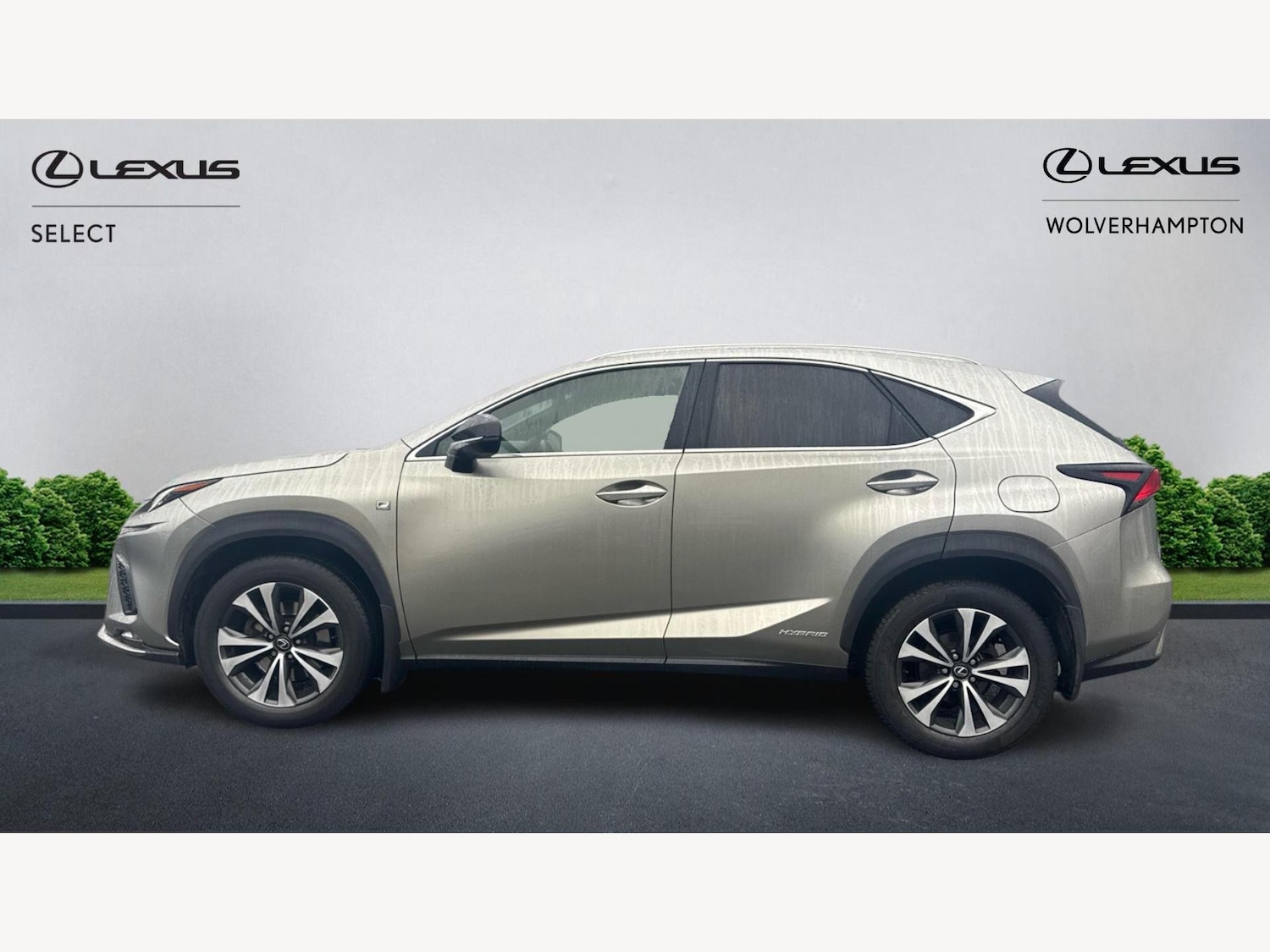 Used Lexus NX 2019 for sale - 77564984: Photo 3