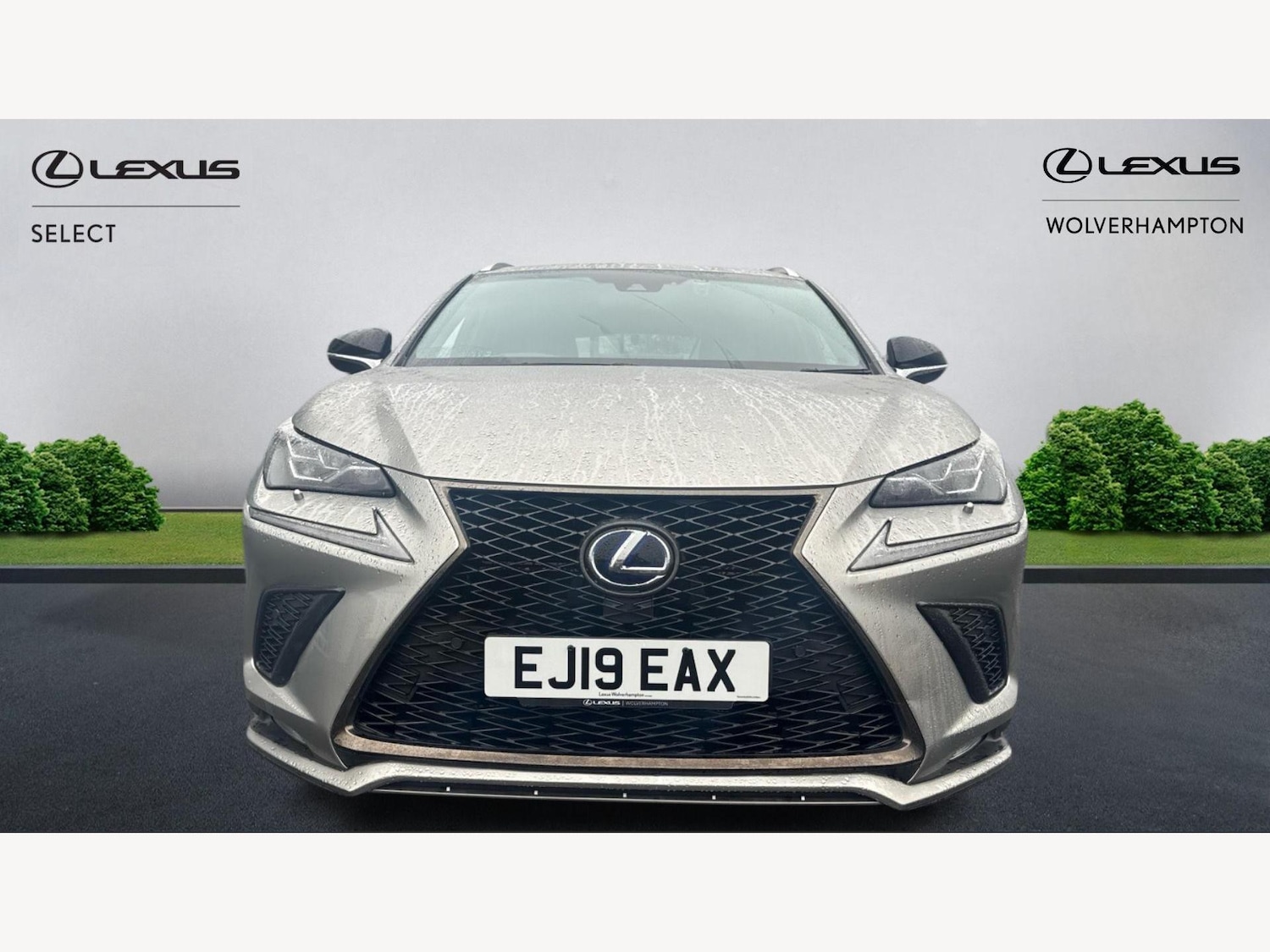 Used Lexus NX 2019 for sale - 77564984: Photo 6