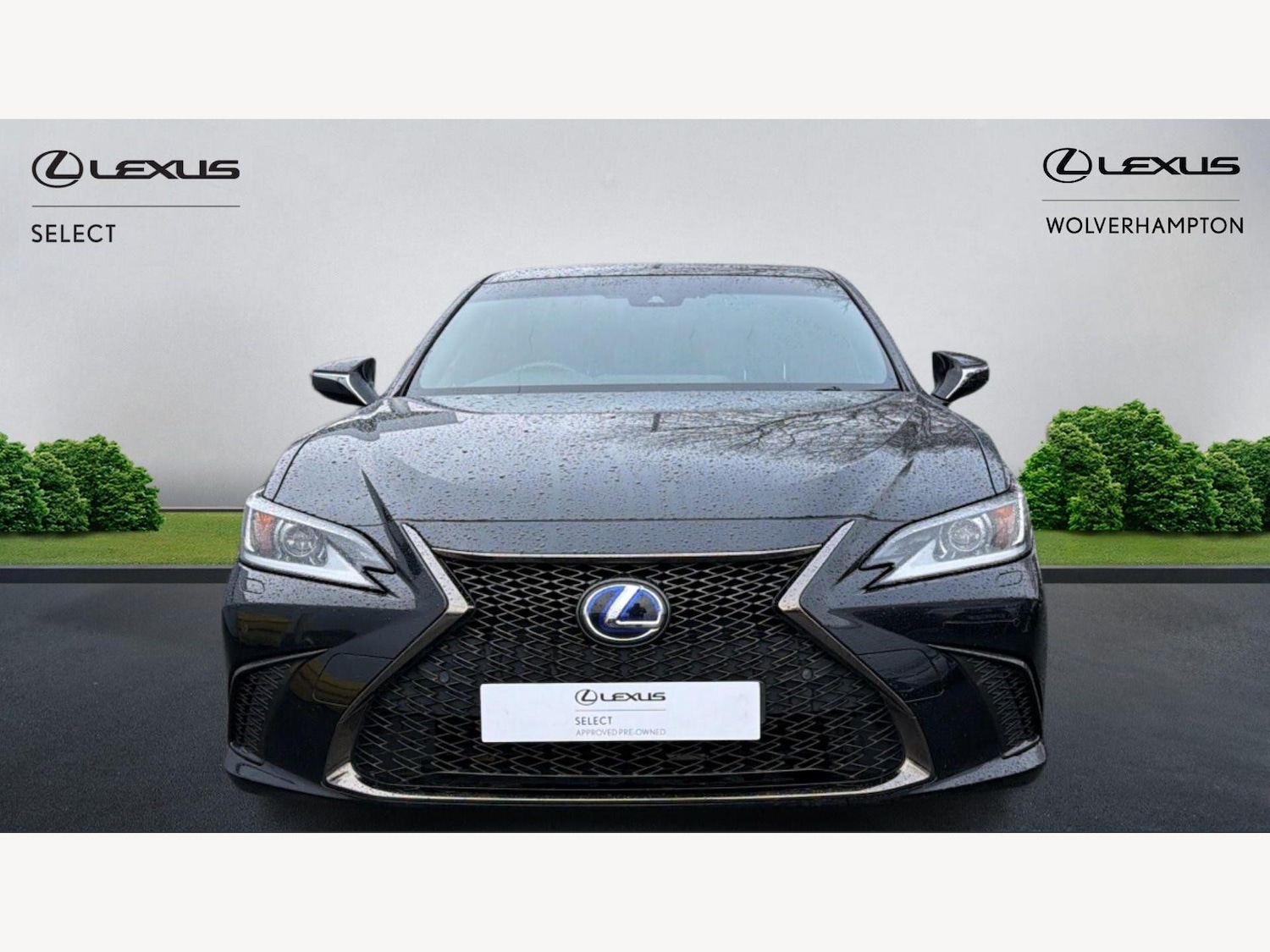 Used Lexus ES 2021 for sale - 77646761: Photo 6