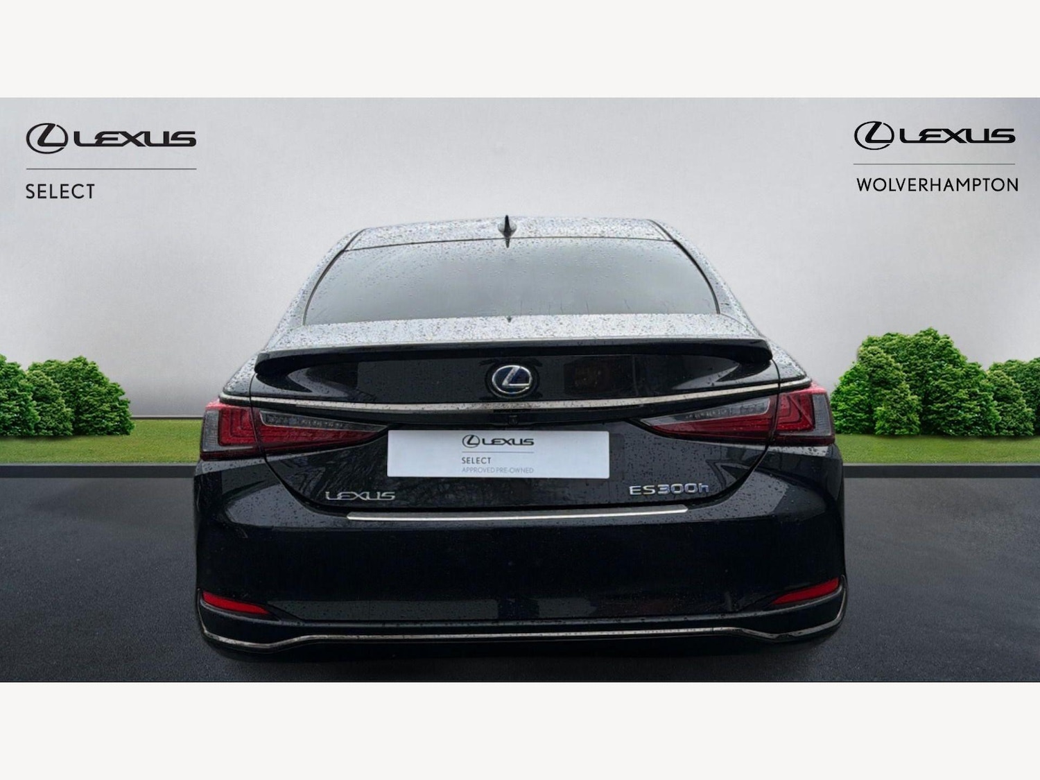 Used Lexus ES 2021 for sale - 77646761: Photo 7