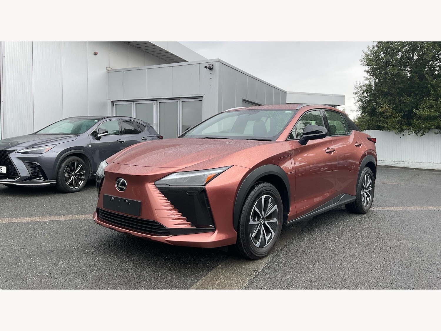 Used Lexus RZ 2025 for sale - 76607382: Photo 19