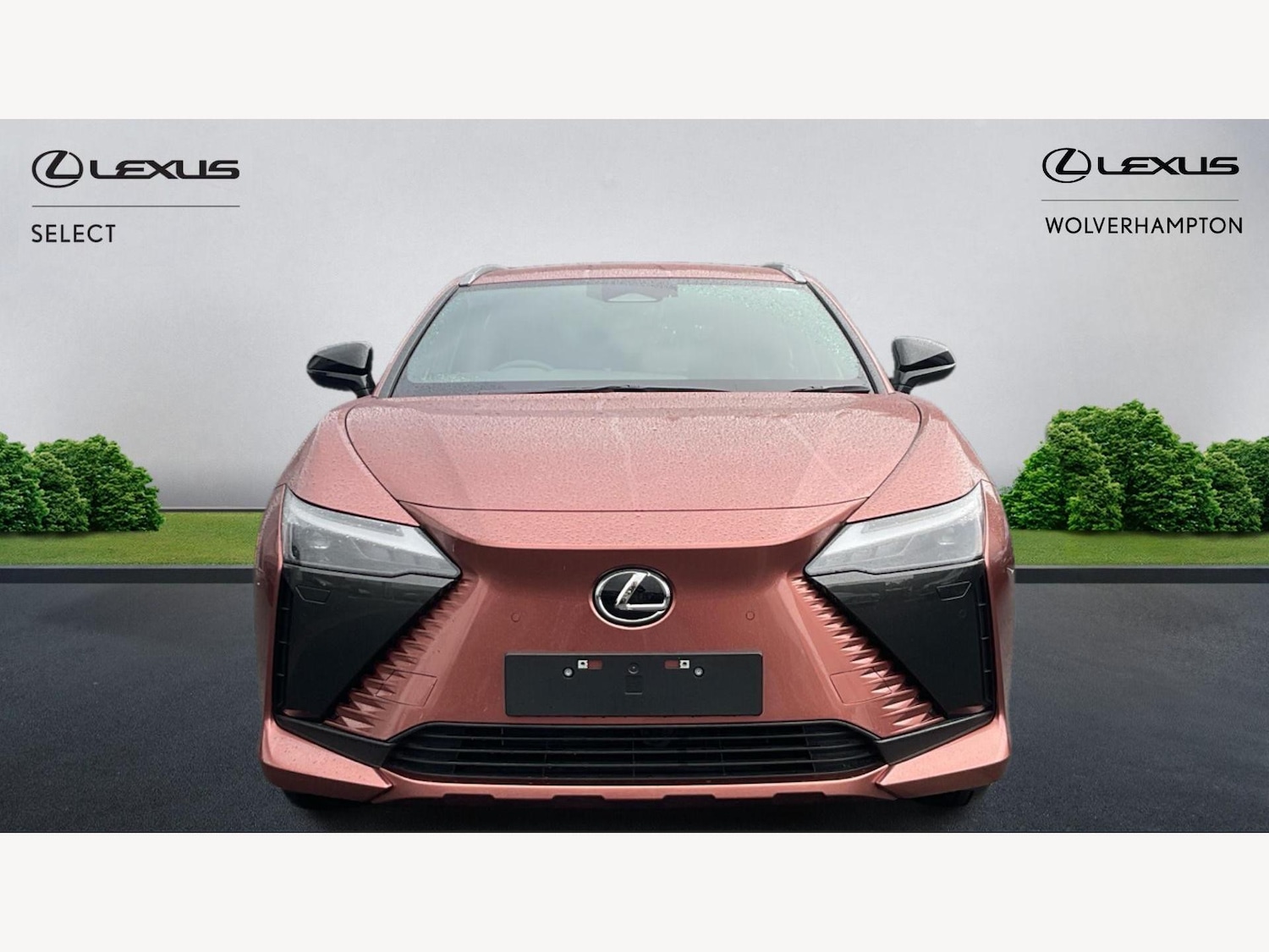 Used Lexus RZ 2025 for sale - 76607382: Photo 6