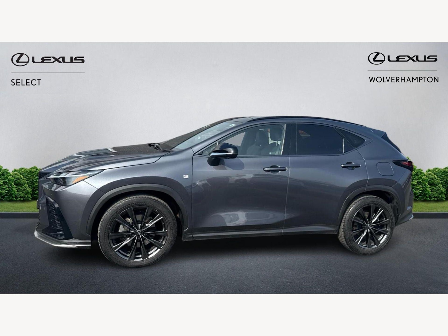 Used Lexus NX 2023 for sale - 78072927: Photo 3