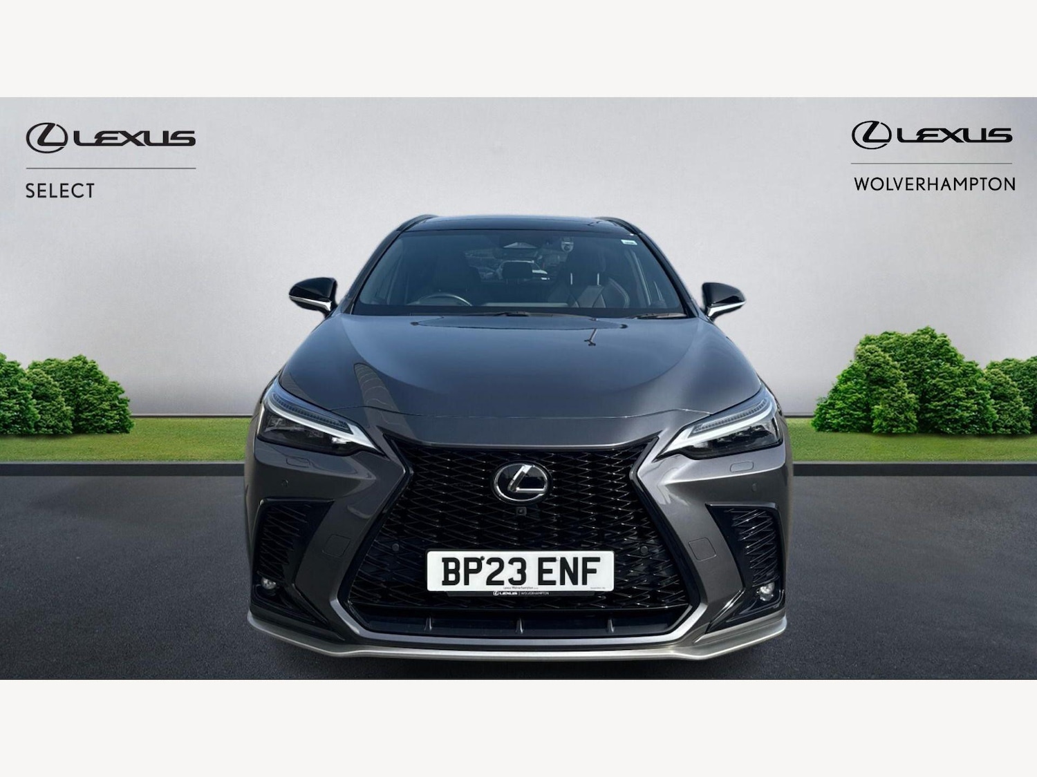 Used Lexus NX 2023 for sale - 78072927: Photo 6