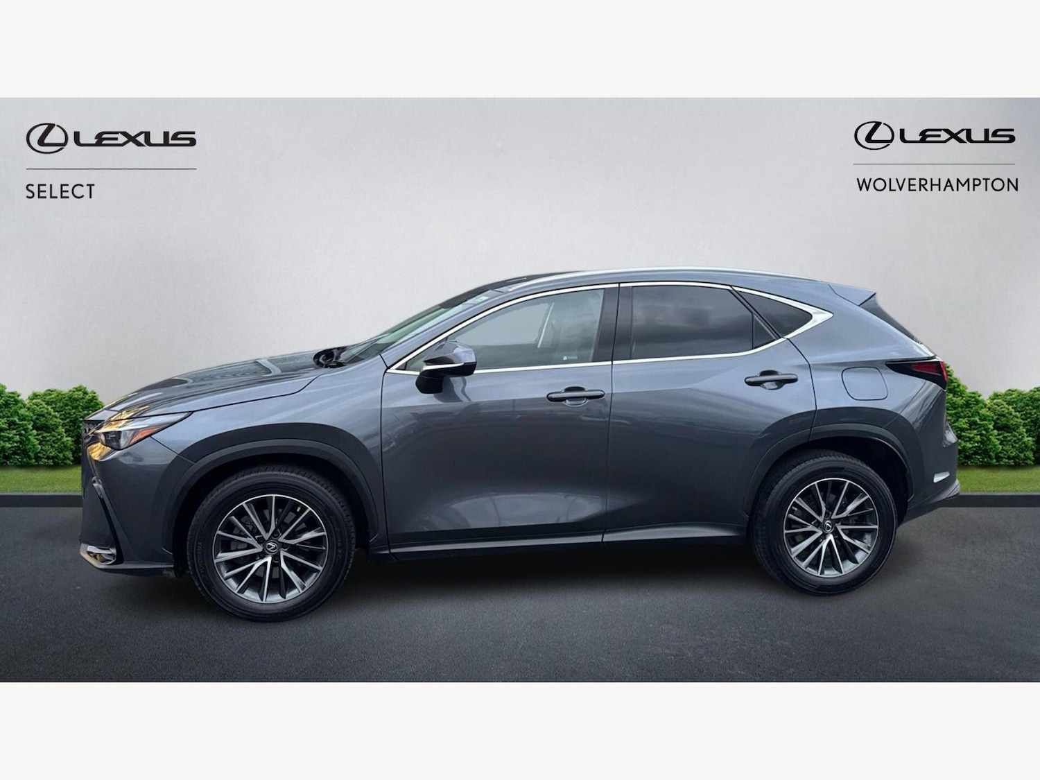 Used Lexus NX 2022 for sale - 77705281: Photo 3