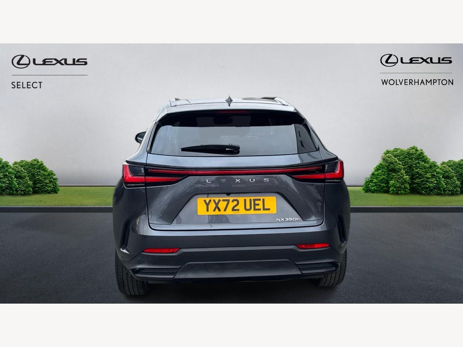 Used Lexus NX 2022 for sale - 77705281: Photo 7