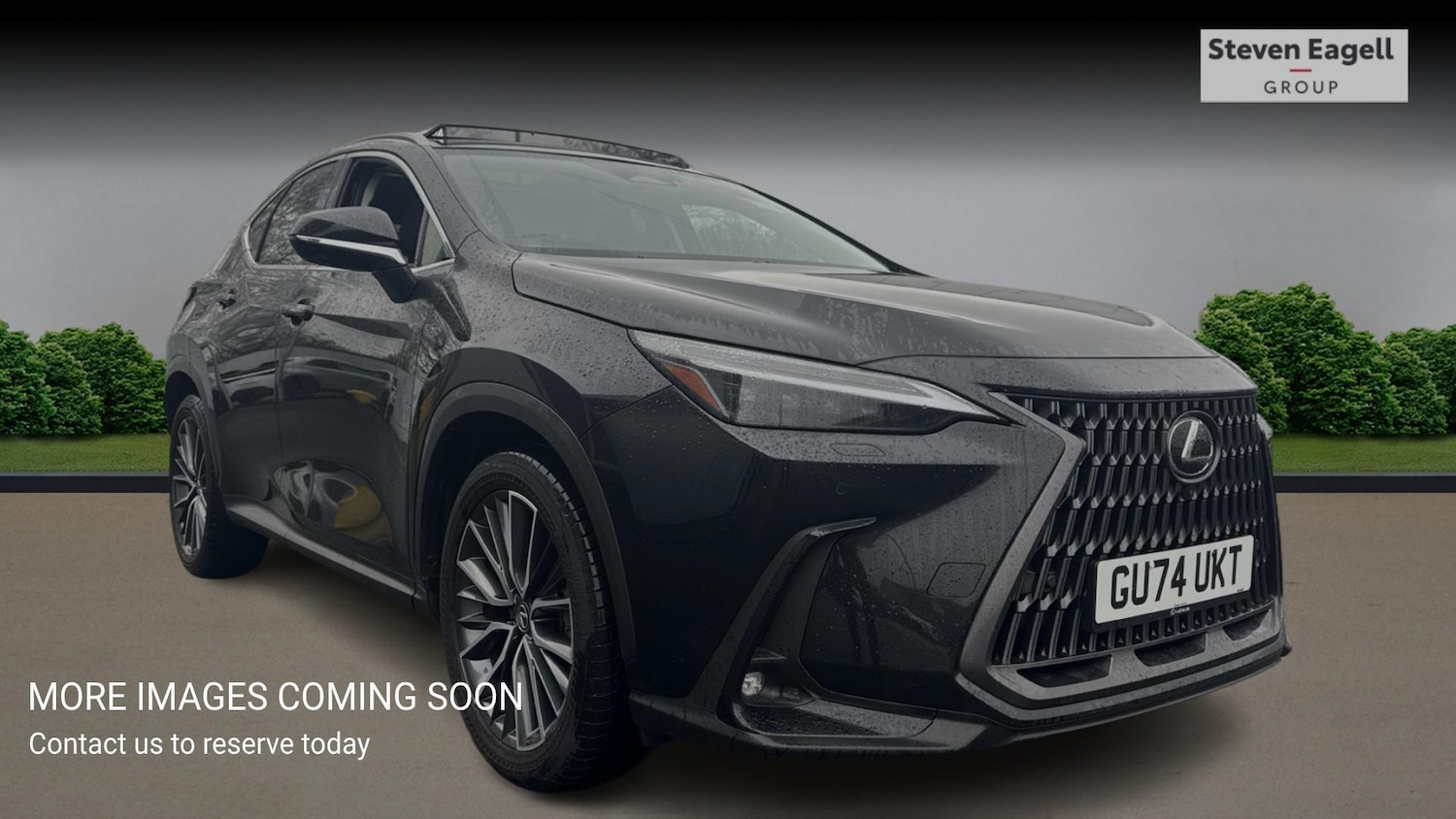 Used Lexus NX for sale - 77314588: Photo 1