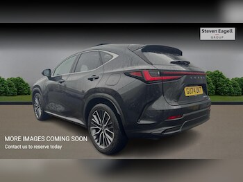 Used Lexus NX 2024 for sale - 77314588: Photo