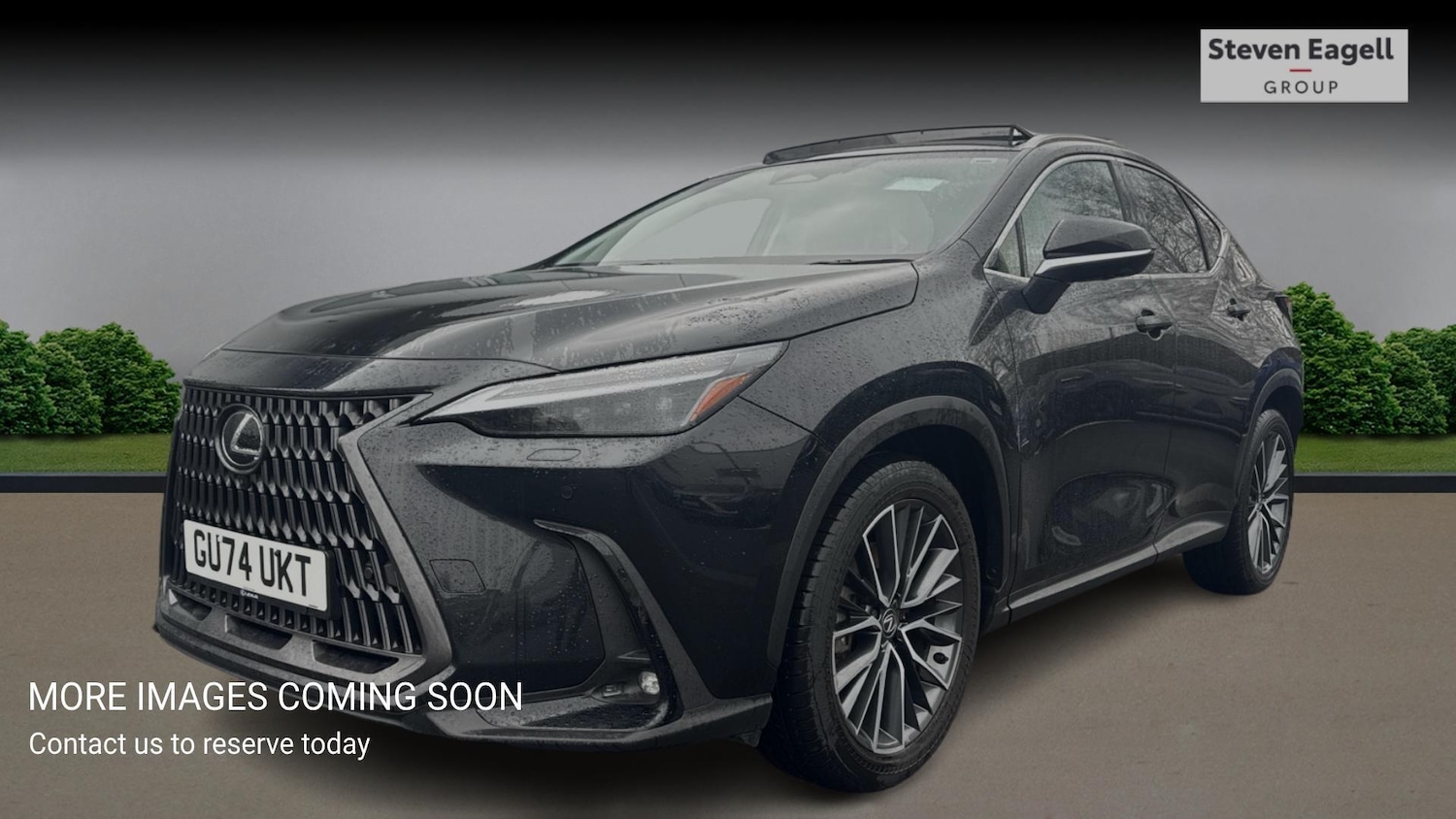 Used Lexus NX for sale - 77314588: Photo 3