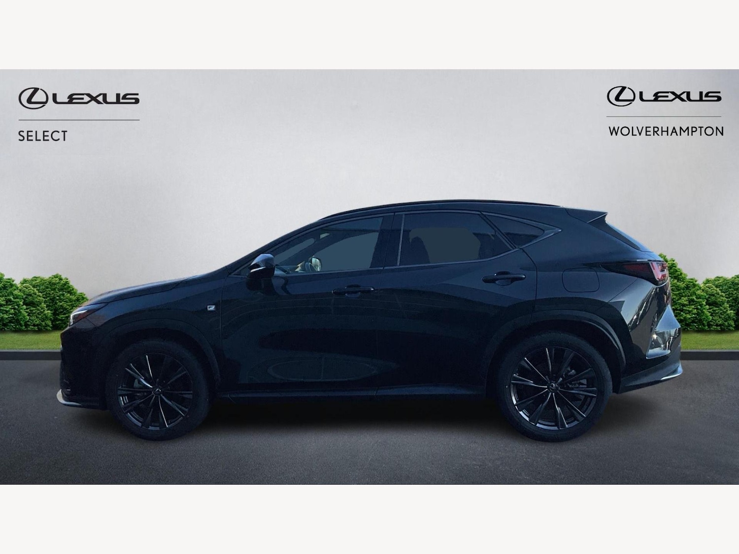Used Lexus NX 2024 for sale - 77645767: Photo 3