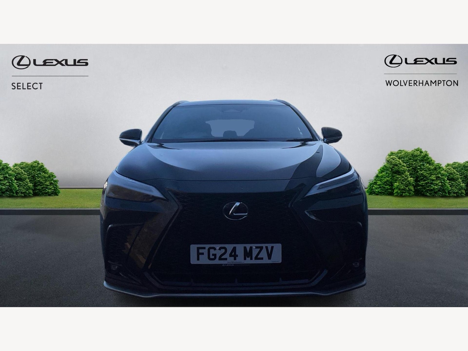 Used Lexus NX 2024 for sale - 77645767: Photo 6