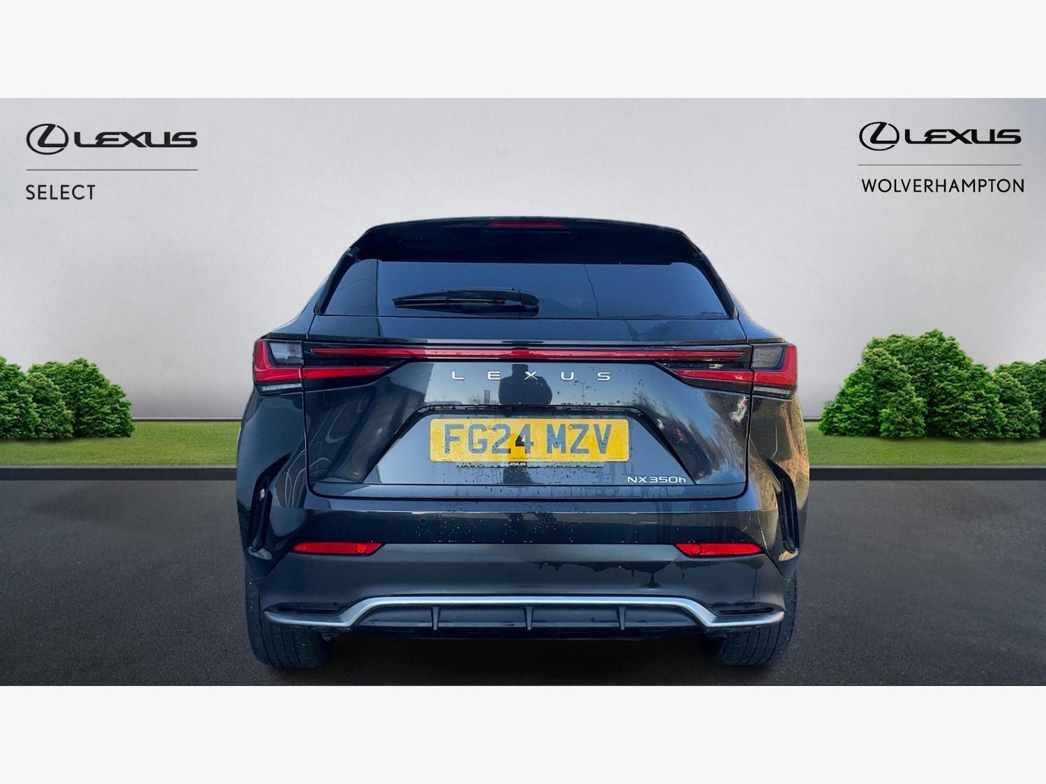 Used Lexus NX 2024 for sale - 77645767: Photo 7