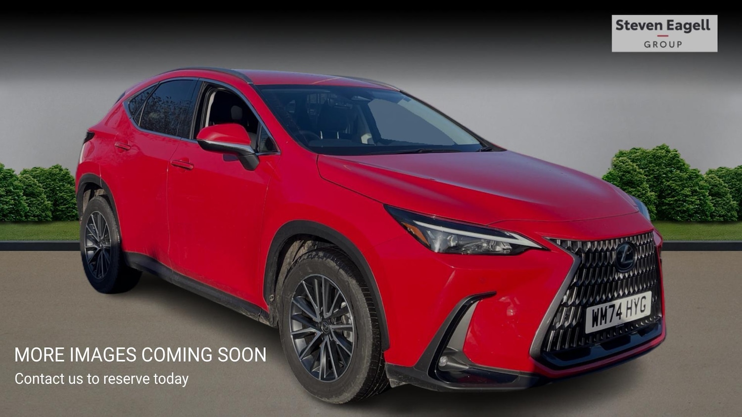 Used Lexus NX 2024 for sale - 77395883: Photo 1