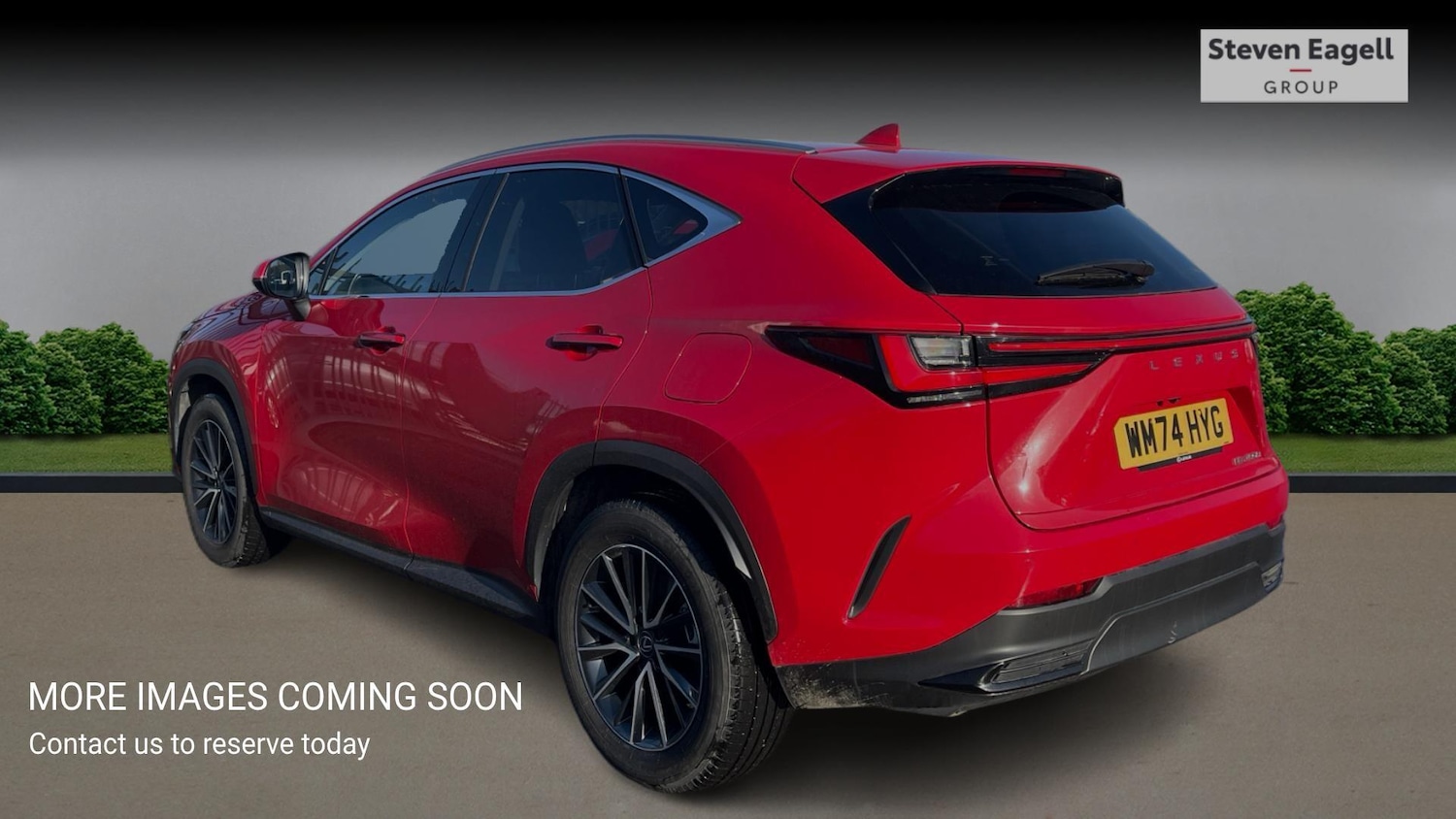 Used Lexus NX 2024 for sale - 77395883: Photo 2