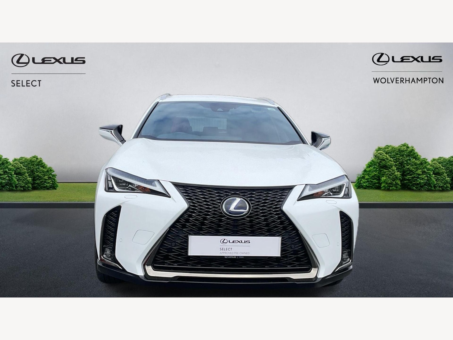 Used Lexus UX 2020 for sale - 76371011: Photo 6