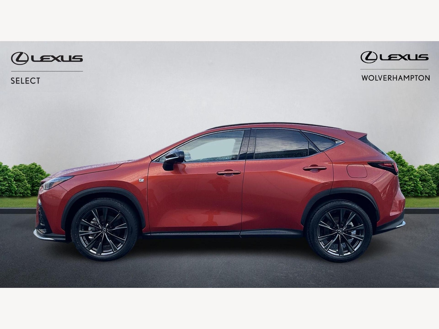 Used Lexus NX 2024 for sale - 77565012: Photo 3