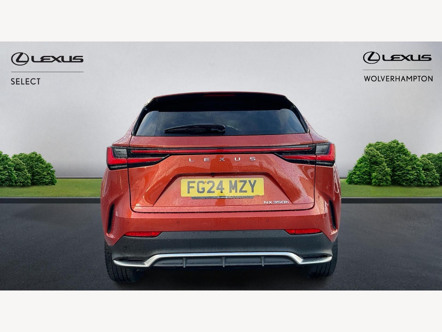 Used Lexus NX 2024 for sale - 77565012: Photo 7