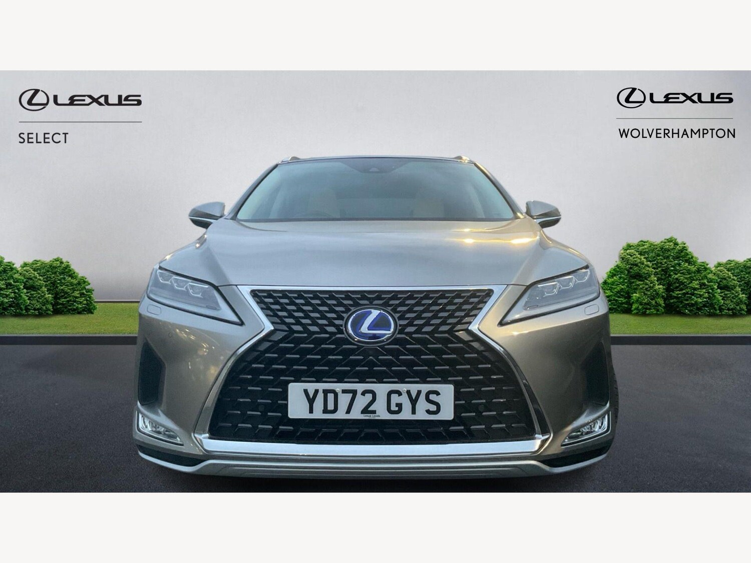 Used Lexus RX for sale - 77695369: Photo 6