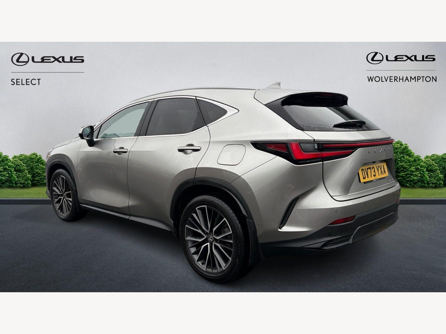 Used Lexus NX 2023 for sale - 77908683: Photo 2